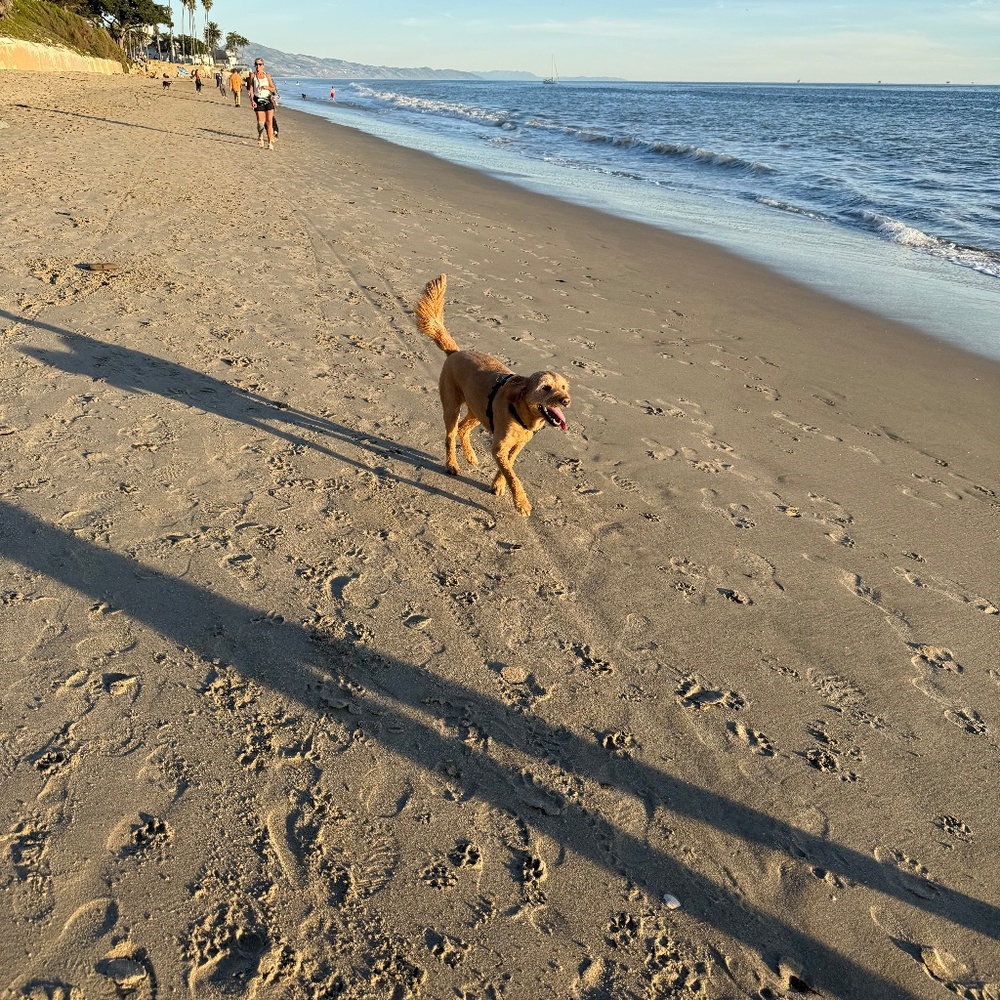 Meet your Posher, Sara